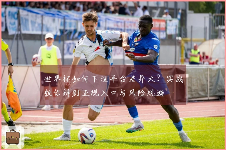 世界杯如何下注平台差异大？实战教你辨别正规入口与风险规避